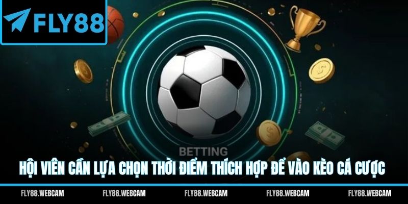 Hội viên cần lựa chọn thời điểm thích hợp để vào kèo cá cược