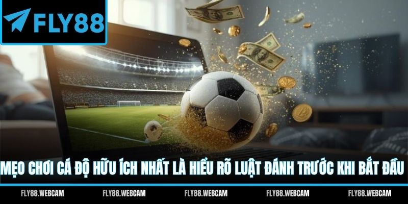 mẹo chơi cá độ
